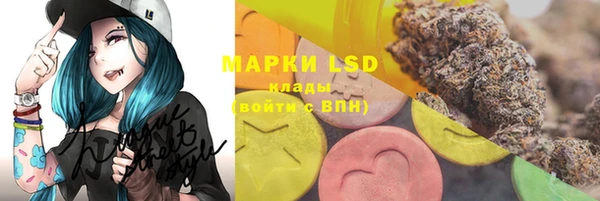 PSILOCYBIN Медногорск