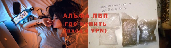 PSILOCYBIN Медногорск