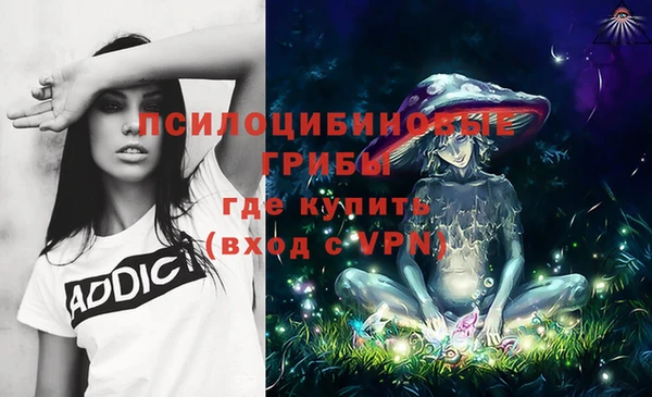 PSILOCYBIN Медногорск