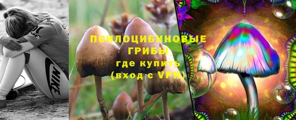 первитин Медвежьегорск